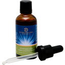 Dr. Ewald Töth® Stoffwechsel Eisen Energetikum - 50 ml