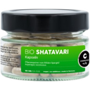 Organic Shatavari Capsules, 80 capsules