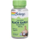 Solaray Fermented Black Garlic - 50 veg. capsules