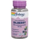 Solaray Heidelbeer Extrakt (Bilberry) - 60 veg. Kapseln