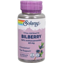 Solaray Izvleček borovnice (Bilberry)