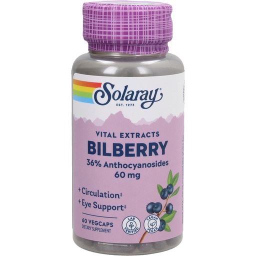 Solaray Bilberry Extract - 60 veg. capsules