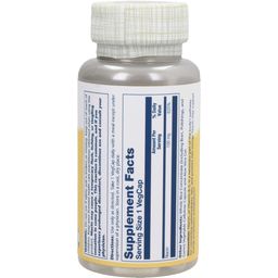 Solaray Niacin 100 mg - 100 Vegetarische Capsules