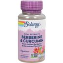 Solaray Berberine & Curcumin Root Extracts - 60 Vegetarische Capsules