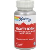 Solaray Hawthorn Special Formula