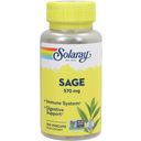 Solaray Sage Capsules - 100 veg. capsules