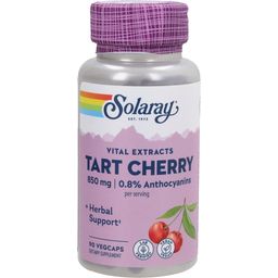 Solaray Tart Cherry Fruit Extract - 90 Vegetarische Capsules