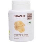 Hawlik Polyporus por kapszula Bio