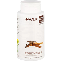 Hawlik Extrait de Cordyceps CS-4 en Gélules - 240 gélules