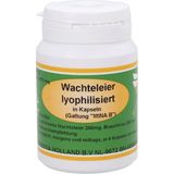 Supplementa Wachteleier lyophilisiert