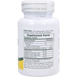 Vitamina B12 1000 mcg Comprimidos a base de Hierbas - 30 comprimidos para chupar