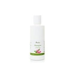 Bio Rosen Shampoo