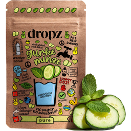 dropz Microdrink Pure Gurka Mint