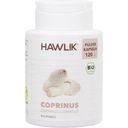 Hawlik Coprinus Powder Capsules, Organic - 120 capsules