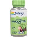 Solaray Mangostan - 100 Kapsułek roślinnych