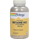 Solaray Betaine HCl 650 mg - 250 Vegetarische Capsules