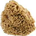 Washed Honeycomb Sea Sponge, Medium, 8 - 10 g