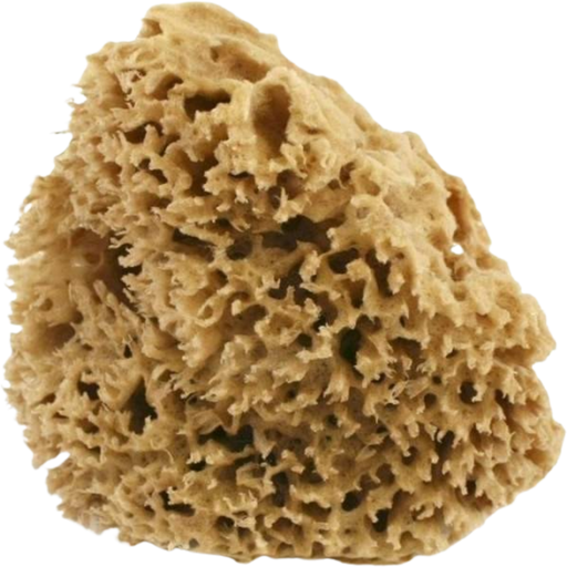 Cose della Natura Honeycomb-Naturschwamm - Medium, 8-10 g