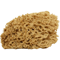 Cose della Natura Washed Honeycomb Sea Sponge - Small, 5-6 g