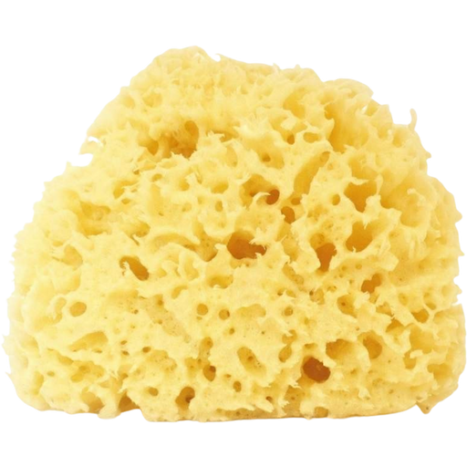 Cose della Natura Gebleichter Honeycomb Schwamm - 12-14 gr