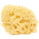 Cose della Natura Bleached Honeycomb Sea Sponge - 4-5 g