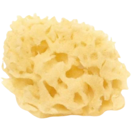 Cose della Natura Bleached Honeycomb Sea Sponge - 4-5 g