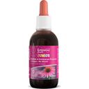 Optima Naturals Echinacea Extract Junior without Alcohol - 50 ml