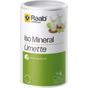 Raab Vitalfood Iso-Mineral Lime - 600 g