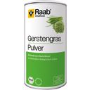 Raab Vitalfood Organic Barley Grass Powder - 140 g