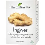 Phytopharma Gingembre