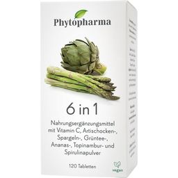 Phytopharma 6 en 1 - 120 comprimés