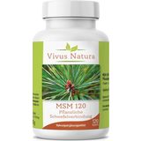 Vivus Natura MSM