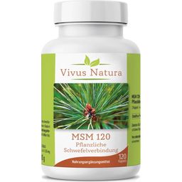 Vivus Natura MSM - 120 kaps.