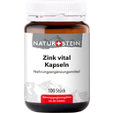 Naturstein Zinc Vital - 100 kaps.