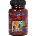 BioKing OPC Organic Premium Grape Seed Extract - 60 capsules