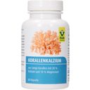 Raab Vitalfood Calcium de Corail - Gélules