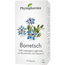 Phytopharma Borretsch - 110 Kapseln