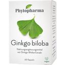 Phytopharma Ginkgo Biloba - 60 kaps.